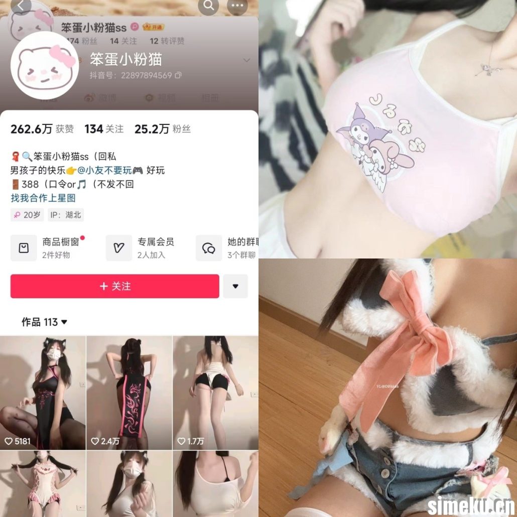 图片[1]-[合集打包]抖音笨蛋小粉猫微密圈作品合集完整合集打包下载+持续更新-次元集