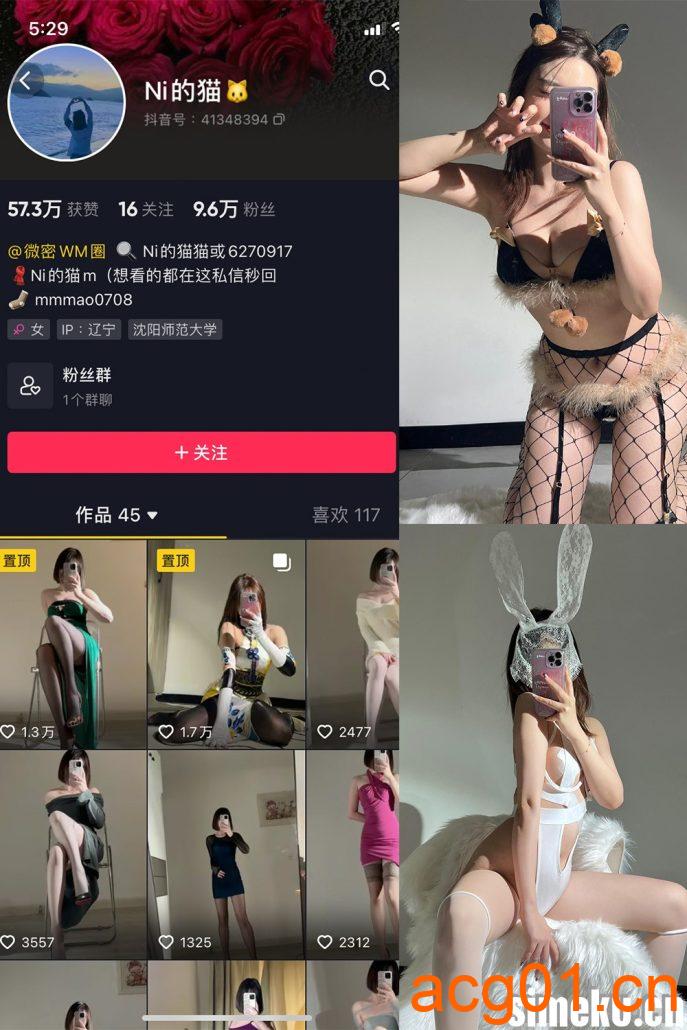 图片[1]-[合集打包]Ni的猫猫微密圈照片视频觅圈合集打包下载+持续更新-次元集
