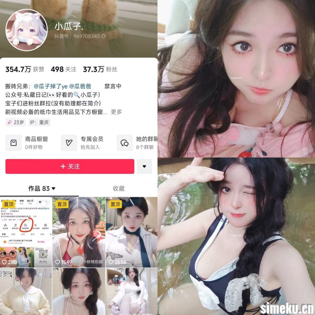 图片[1]-[合集打包]抖音小瓜子/瓜子掉了ye微密圈作品合集完整合集打包下载+持续更新-次元集