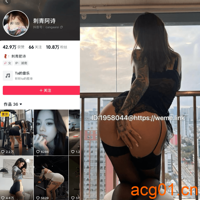 [合集打包]抖音刺青阿诗微密圈图集系列合集 抖音刺青阿诗维密圈子套图作品合集打包下载+持续更新-次元集